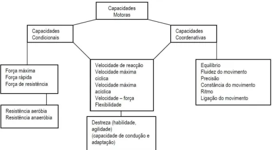 Figura  8 - Divisão das Capacidades Motoras.  (Fonte, Correia, 2009).