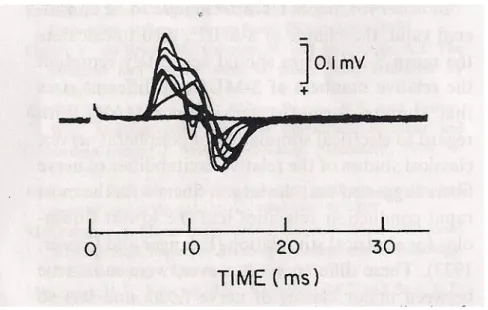 Figure 4: Alternation phenomena in a series of 100 constant intensity stimuli  (Doherty et al., 2003) 