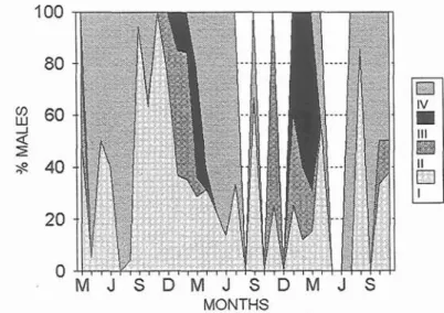 Fig. 1. Annual cycle of  the spawning period  in  males of  Pagellus  bogaraveo  in  the periods  1982-1 983, 1984-1 986  and  1991