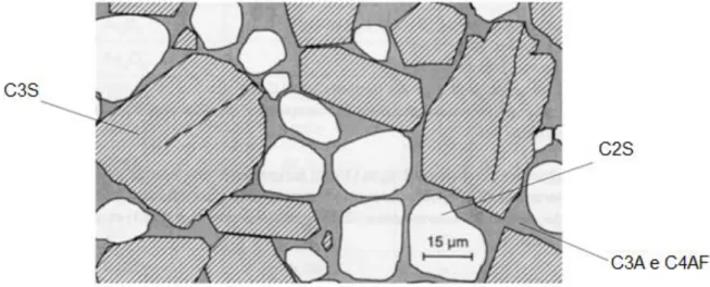Figura 2 - Imagem esquemática da superfície de clínquer obtida por microscópio ótico (x100) [Adaptado de  GOMES 2013] 