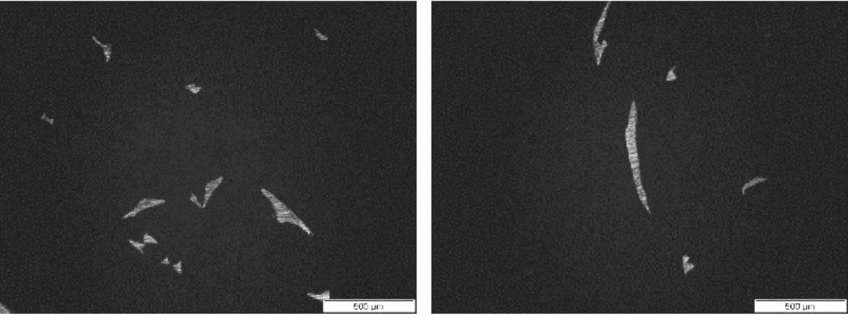 Figura 18 – Imagens das secções da lã de aço através de microscópio ótico [MIcroLab, IST] 