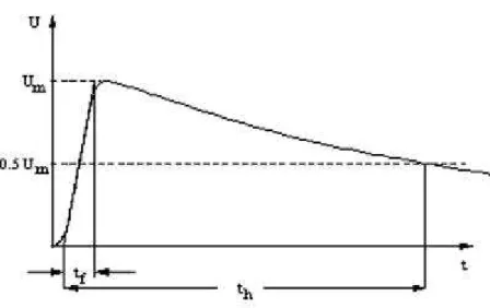 Figura 2.2. Exemplo de onda de corrente obtida pela aplicação da Função de Heidler. [King, 2004]