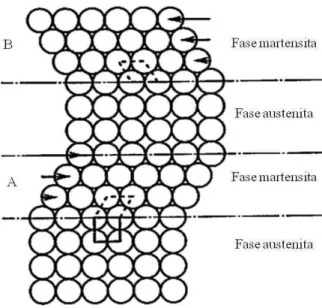 Figura 2.1  – Esquema da transformação martensítica. Adaptado de OTSUKA E WAYMAN  (1998)