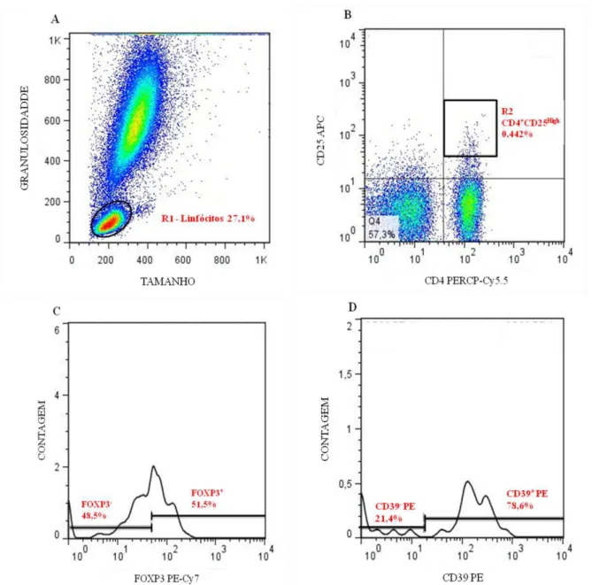 FIGURA 6: Estratégia de análise dos linfócitos T CD4 + CD25 high  FOXP3 +  do sangue periférico  expressando  moléculas  de  superfície/intracitoplasmáticas  por  citometria  de  fluxo  através  de  gráficos de distribuição de pontos coloridos artificialme
