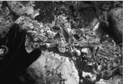 Figura 7: Pormenor de uma concreção descoberta em 2002 onde se podem observar fragmentos de porcelana e pedras de lastro (foto: José Bettencourt).