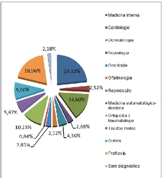 Gráfico 1- Distribuição da casuística por áreas específicas da medicina de animais de  companhia (frequências relativas) 