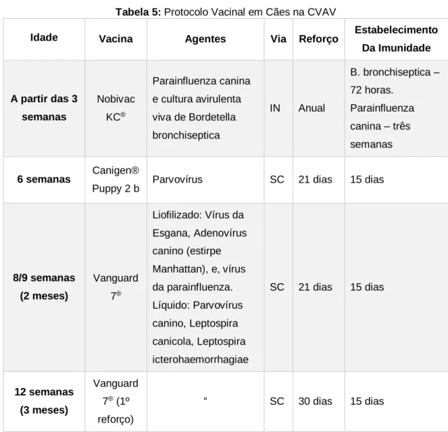 Tabela 5: Protocolo Vacinal em Cães na CVAV 