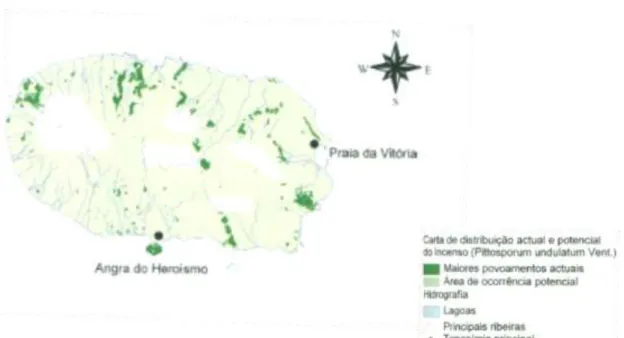 Figura 3 - Área de distribuição do  Pittosporum undulatum Vent.  na Ilha Terceira (Fonte: Dias  et al , 2007)
