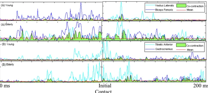 FIGURE 1: Electomiographic curve of one young and one elderly woman from 200 ms before  initial contact to 200 ms after.The co-contraction curve is represented by the common area between  the normalized contraction curves of the vastus lateralis and biceps
