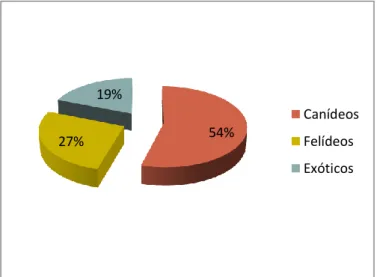 GRÁFICO 1 – Frequências relativas de animais assistidos por espécie animal  