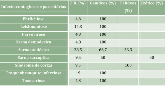 FIGURA 4 - Gato com anemia hemolítica  imunomediada, aspecto de mucosa  conjuntival. 