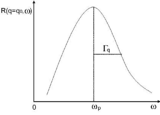 Figura 2.2: Esbo¸co do comportamento de R(q, ω) em fun¸c˜ ao de ω, com q = q 0 fixo, indicando a posi¸c˜ ao