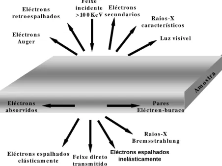 figura 2.1: Diferentes sinais criados apartir da intera¸cao do feixe de eletrons com a amostra