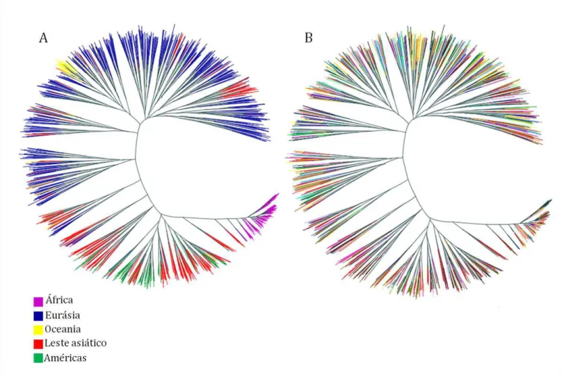 Figura 7  – Árvores filogenéticas neighbor-joining relativas ao compartilhamento de alelos idênticos por estado entre os 1045 indivíduos 