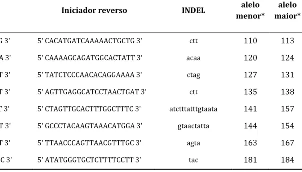 Tabela 4: Seqüência de iniciadores e características dos INDELs do cromossomo 5 do multiplex D 