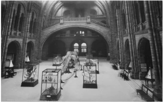 Figura 2.4. Hall central do Museu de História Natural de Londres 6 , em1902. 