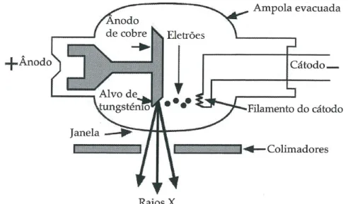 Figura 10 – Esquema de tubo de raios X com os diversos componentes (adaptado de Pisco, 2009) 