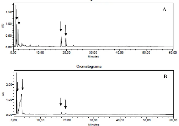 Figura  8-  Cromatogramas  obtidos  por  CLAE-FR,  para  as  tinturas  de  R.  microplus  com  material  vivo  –  MV  (A)  e  dessecado  –  MD  (B)