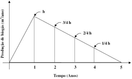 Figura 3.2 – Modelo triangular de produção de biogás para resíduos rapidamente 
