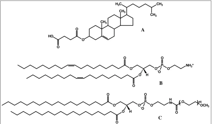 Figura 4 – Estruturas químicas de CHEMS (A), DOPE (B) e DSPE-PEG 2000  (C). 