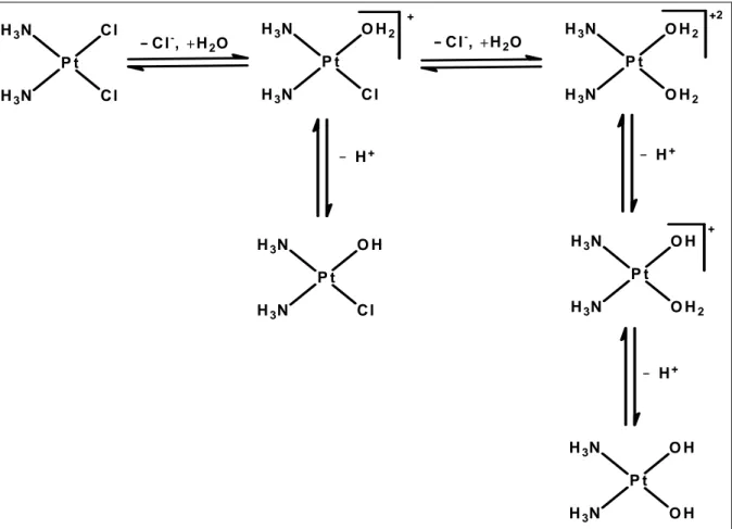 Figura 9 – CDDP e seus produtos de hidrólise. 