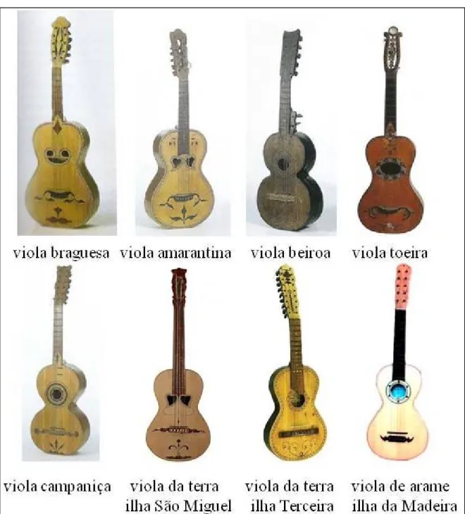 Fig. 01 – Violas portuguesas. 