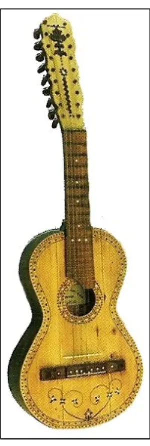 Fig. 14 – Viola da terra terceirense.