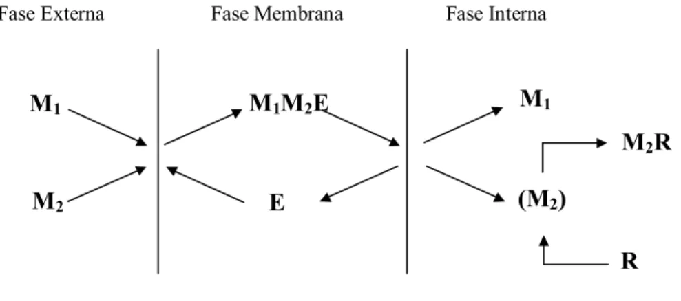 Figura 3.12 – Co-transporte. M1