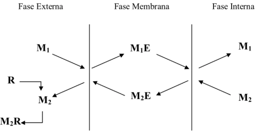 Figura 3.13 – Contra-transporte. 