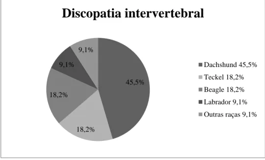 Gráfico 3 - Casos de discopatia intervertebral consoante raças afetadas (n= 11) 