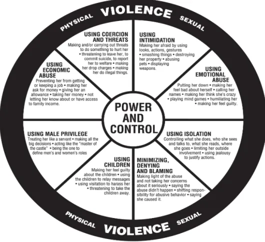 Figura III - "A roda do poder e controle” 22   