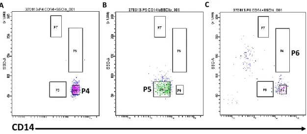 Figura  3:  Imagens  representativas  da  aquisição  pós-sorting,  representando  as  três  populações  de  células 