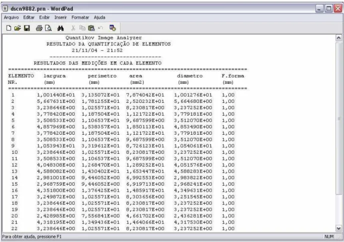 Figura 4.14: Exemplo de relatório gerado pelo analisador de imagens Quantikov. 