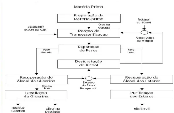 Figura 1 - Fluxograma da produção de biodiesel  Fonte: (REVISTA BIODIESEL, 2010)