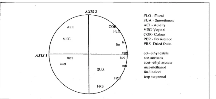 Figure 2. Projection of Me red wines on the plane formed by the axes I and 2. The numbers 11, 12 and 13 refer to the Baum&amp; values at harvest.