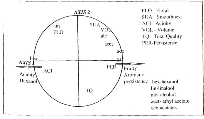 Figure  4. Projection of  Drip  white wines on the plane formed by the axes  I  and  1