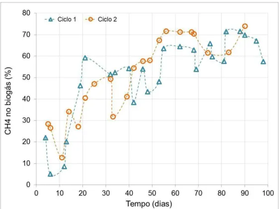 Figura 5.3 - Série temporal das concentrações de CH 4  no biogás nos ciclos de auto  inoculação 
