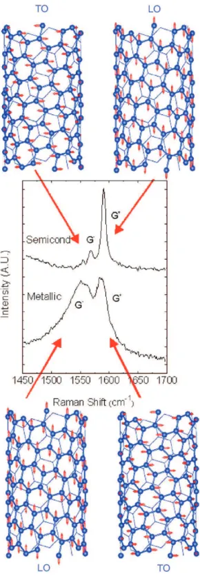 Figura 2.16 : Vibra¸c˜oes atˆomicas ao longo das dire¸c˜oes tangenciais (longitudinal e circun- circun-ferencial) de um nanotubo de carbono, que d˜ao origem aos dois picos da banda G