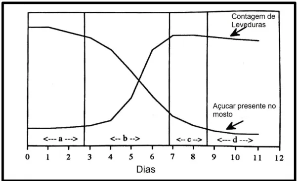 Figura 6 - Perfil típico de multiplicação de levedura e decréscimo de grau de açúcar  (adaptado de Margalit, 2012) 