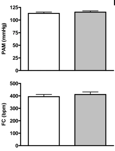 Figura 04 -  Valores basais de pressão arterial média (PAM, mmHg) e freqüência cardíaca (FC, bpm),  antes e após microinjeção bilateral de ácido kinurênico (KIN, 2,5nmol/100nl) na área A5 de ratos não 