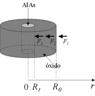 Figura 2.4: Processo de forma¸c˜ ao do ´ oxido na camada cil´ındrica de AlAs