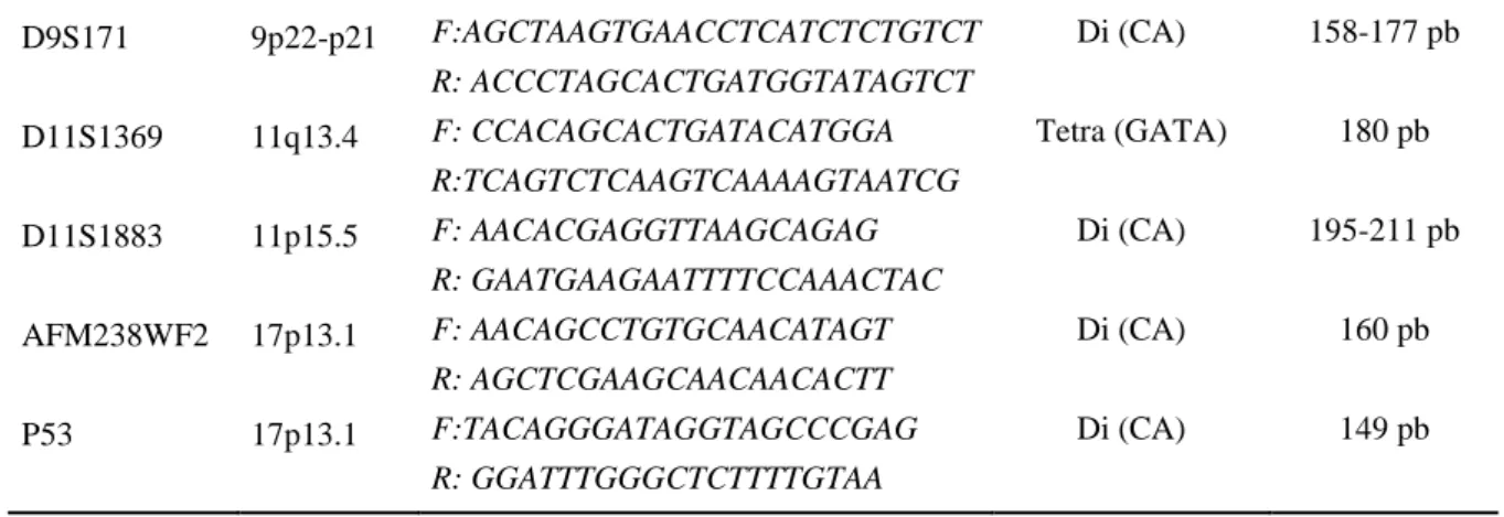 Tabela 3: Condições térmicas do PCR. 