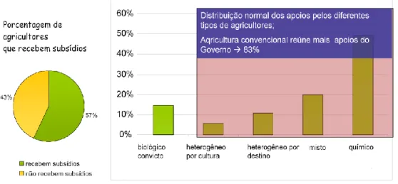 Figura 5 – Tipos de subsídios atribuídos entre os agricultores pesquisados. Fonte: 