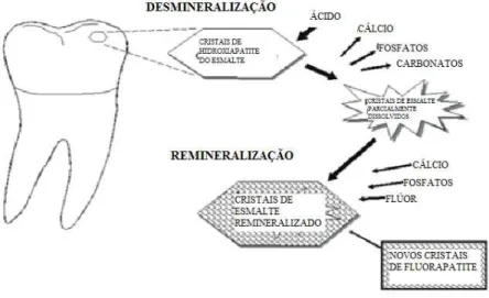 Figura 4 – Processo de desmineralização e remineralização do esmalte. Adaptado de Khon et al., 2001 