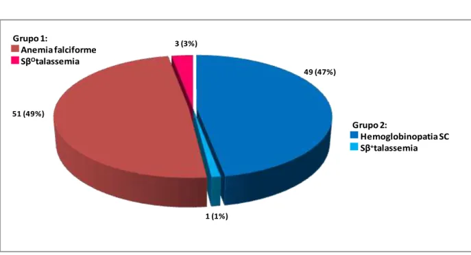 GRÁFICO 1 - Distribuição das gestantes com DF conforme o genótipo analisado 