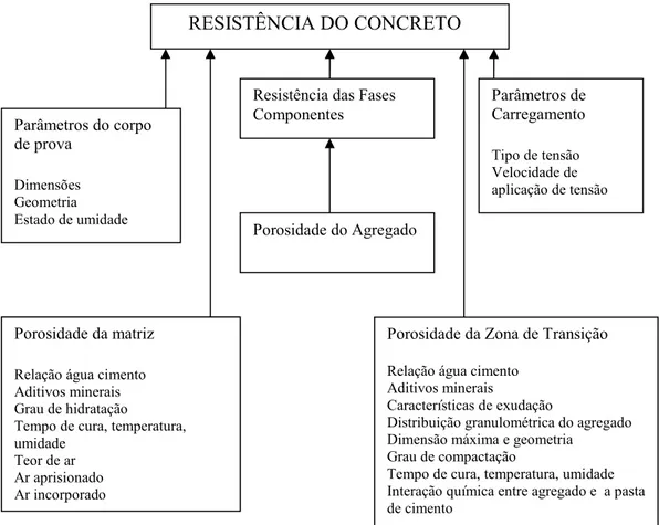Figura 2.1 - Fatores que influenciam a resistência à compressão – fonte: METHA e MONTEIRO (1994) 