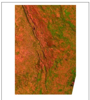 FIGURA 28  – Composição RGB5,4,3 do  mosaico  da  imagem  Landsat  5TM  da  região  de  estudo  em  04  de  Setembro  de  1999