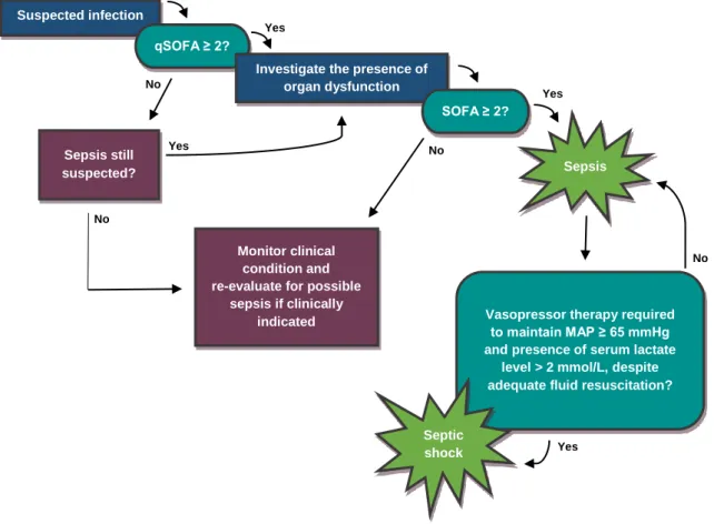 Figure  5.  The  identification  process  for  sepsis  and  septic  shock  according  to  Sepsis-3  (adapted from reference 24).