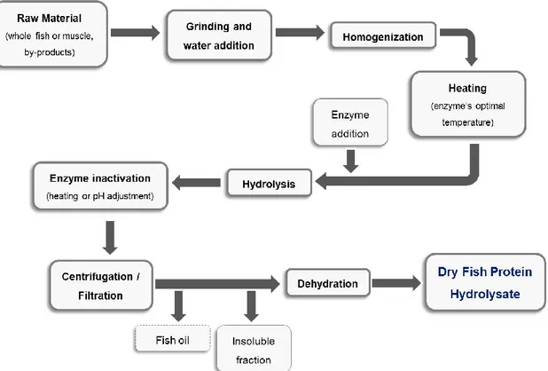 Figure  1.  Diagram  of  fish  proteins  hydrolysates  production  by  enzymatic  hydrolysis