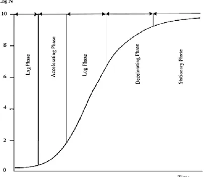 Figure  2.  The  microbial  growth  curve,  with  Log  N  (logarithmic  number  of  microorganisms) as a function of time